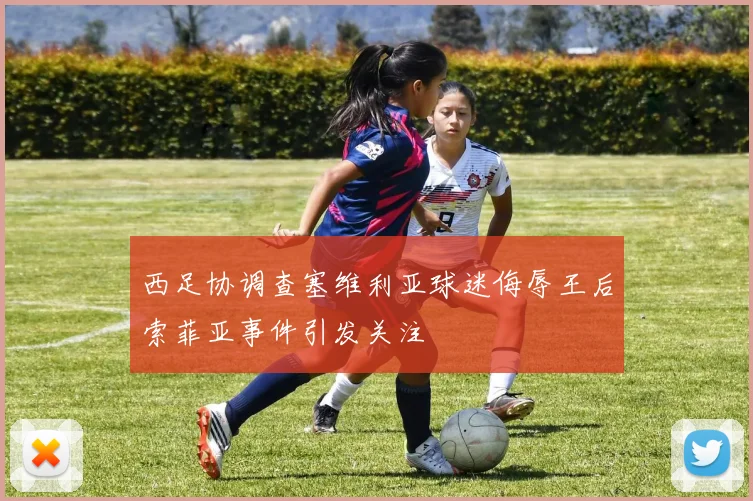 西足协调查塞维利亚球迷侮辱王后索菲亚事件引发关注