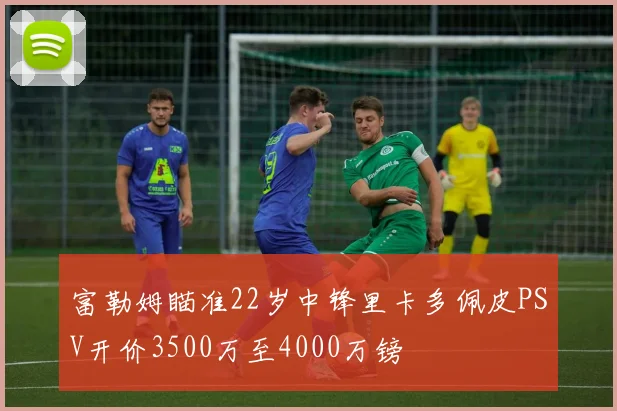 富勒姆瞄准22岁中锋里卡多佩皮PSV开价3500万至4000万镑