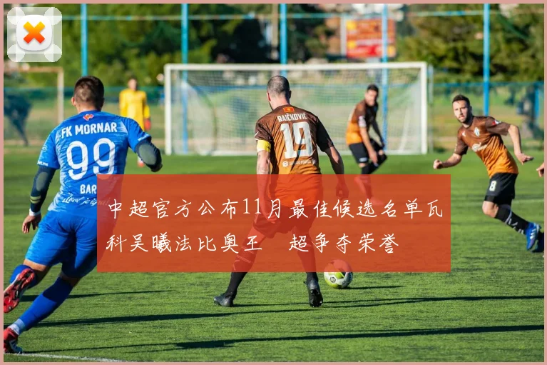 中超官方公布11月最佳候选名单瓦科吴曦法比奥王燊超争夺荣誉