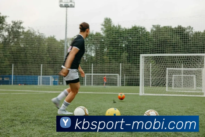 KB体育平台生态图