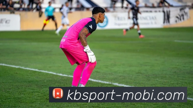 KB体育APP 封面图